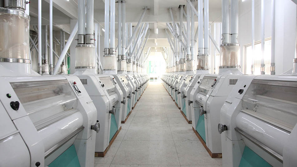 玉米制粉加工方案