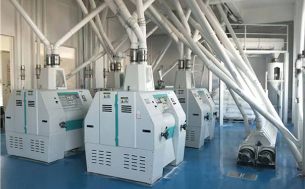 玉米粉加工成套設(shè)備實(shí)拍圖片