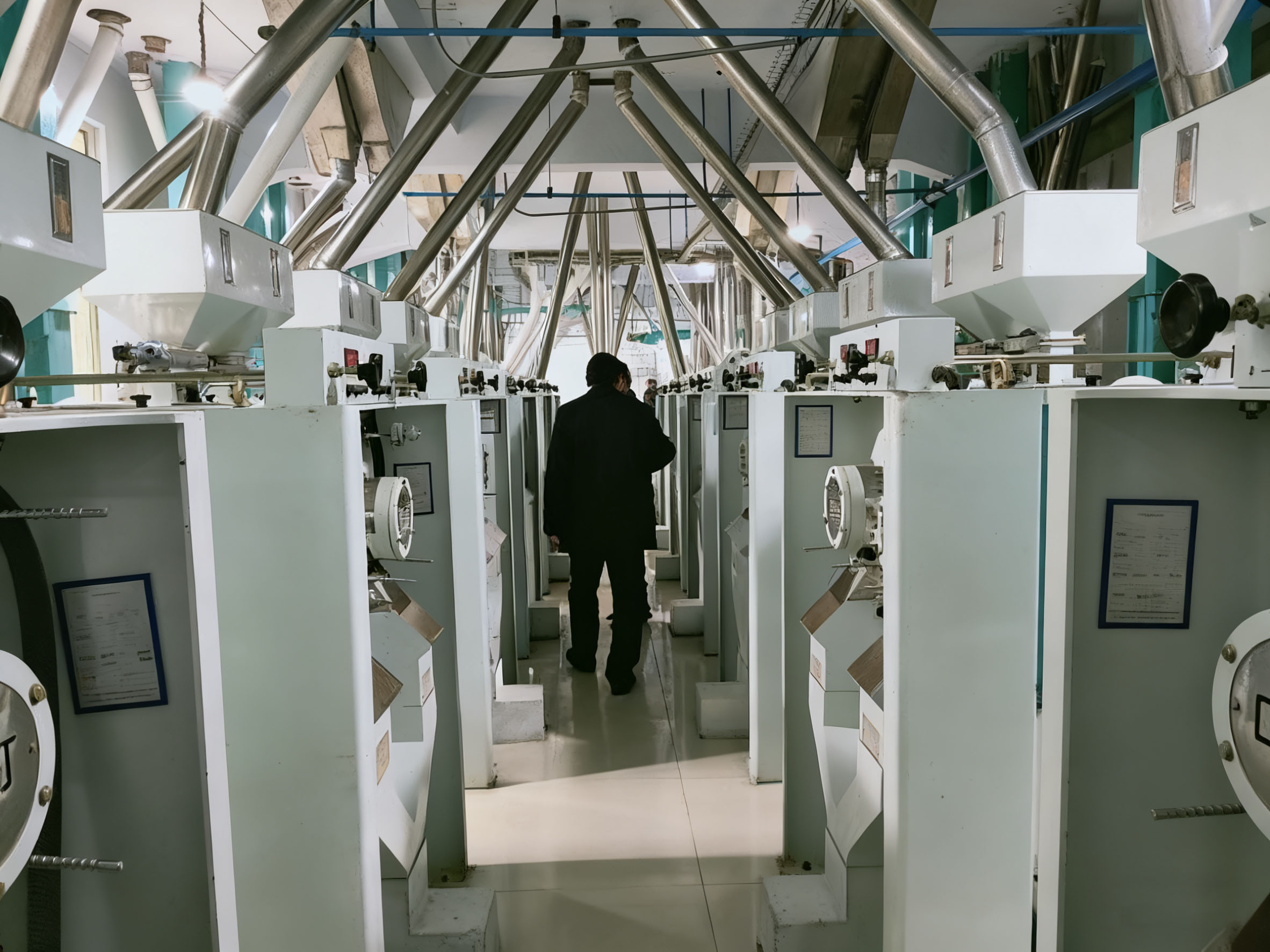 吉林遼源500噸玉米加工成套設(shè)備