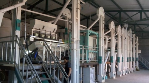 談談小米的營養(yǎng)價值