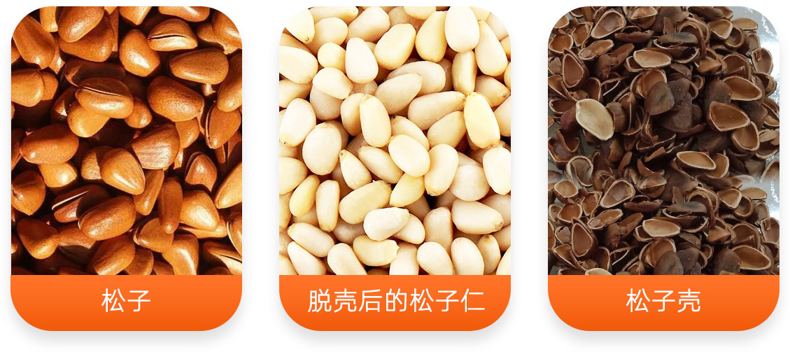 松子脫殼成套設(shè)備產(chǎn)成品圖