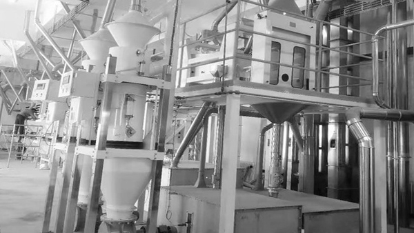 苦蕎米生產(chǎn)線