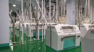 面粉廠小麥脫皮機和工藝引入與傳統(tǒng)小麥制粉區(qū)別和優(yōu)勢