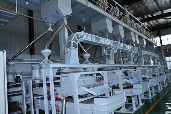 薏米加工成套設備實拍圖片