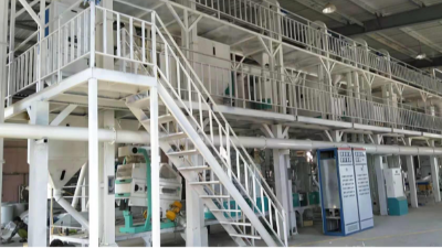 時處理2噸青稞制米制粉項目新工藝