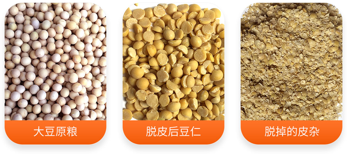黃豆脫皮成套設(shè)備產(chǎn)成品圖