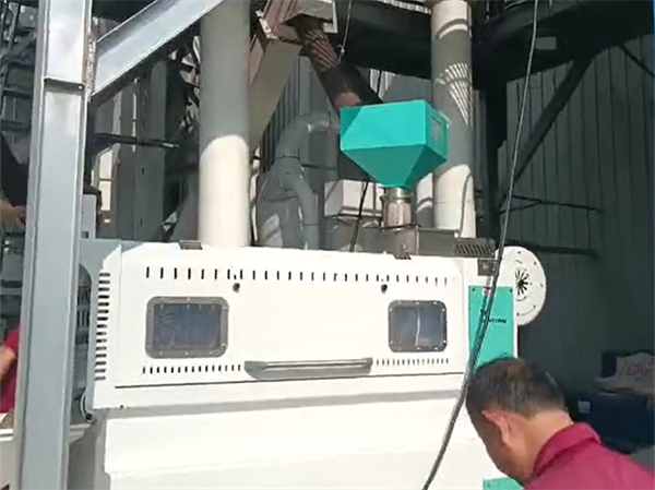 真菌毒素消減設(shè)備