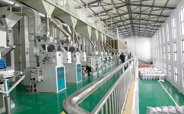 小米加工成套設(shè)備實(shí)拍圖片