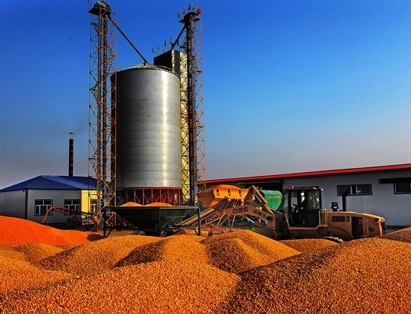 玉米烘干設(shè)備 玉米烘干設(shè)備