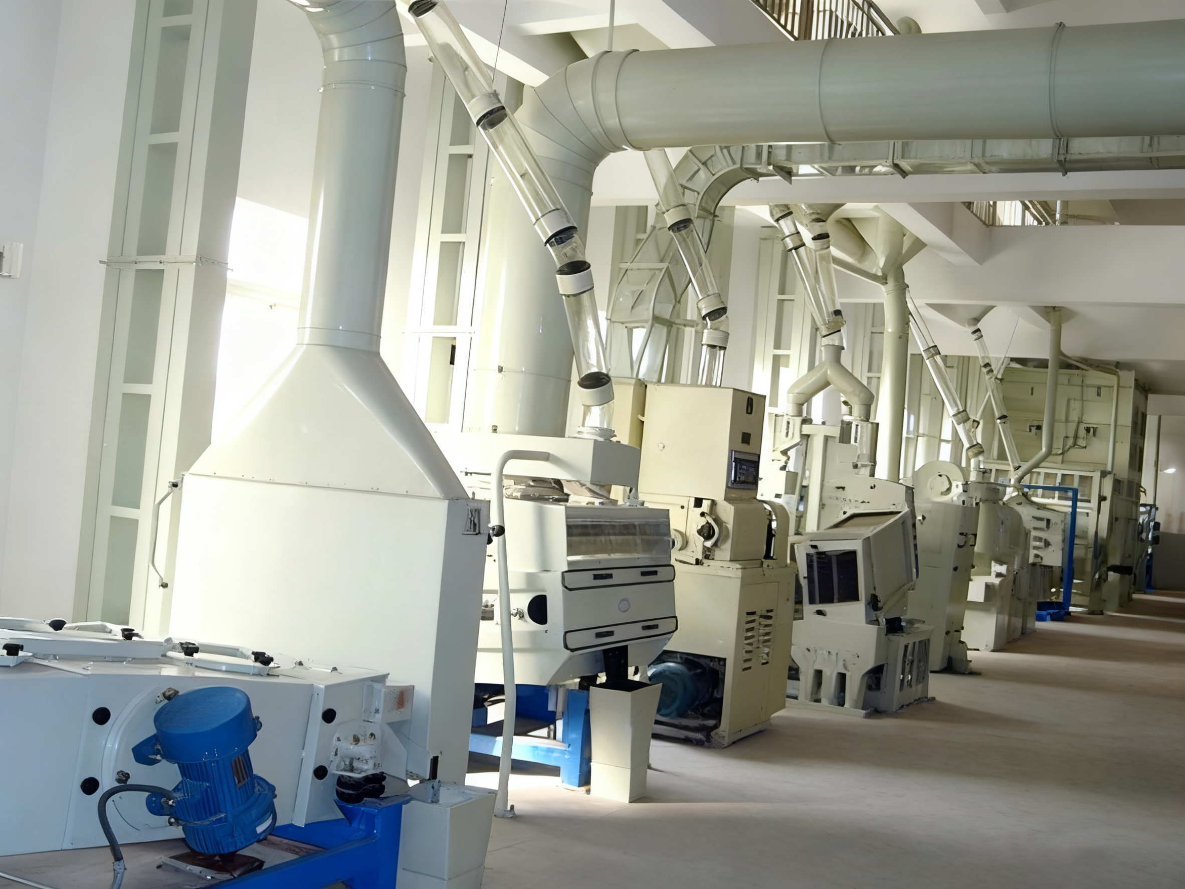 貴陽日產(chǎn)200噸大米加工生產(chǎn)線加工現(xiàn)場