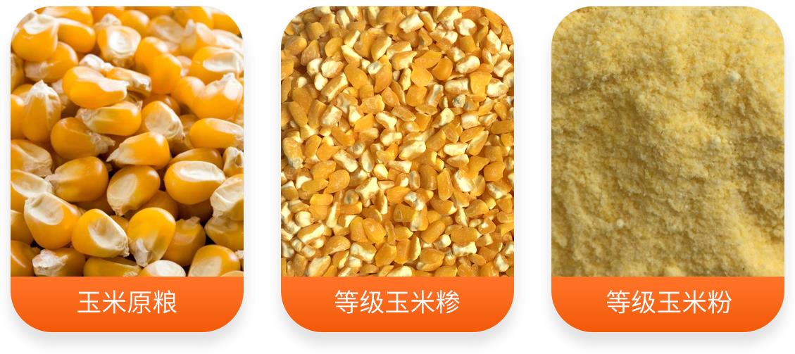玉米制糝制粉成套設(shè)備產(chǎn)成品圖