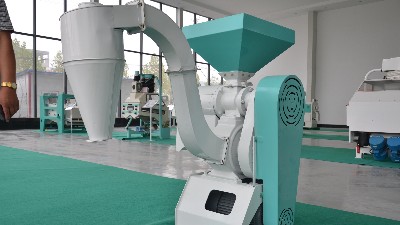 農(nóng)村小雜糧加工行業(yè)的前景怎么樣？