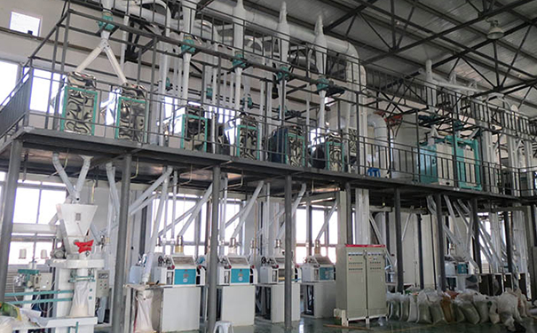 豆類制粉成套設(shè)備(全干法)實拍圖片