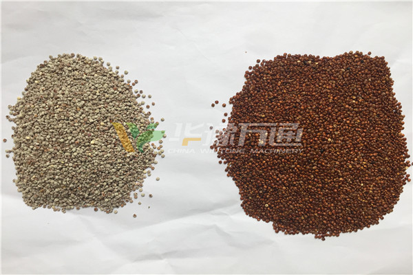 云南藜麥脫皮加工生產(chǎn)線