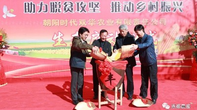 華豫萬通玉米加工機組——助力脫貧攻堅，推動鄉(xiāng)村振興