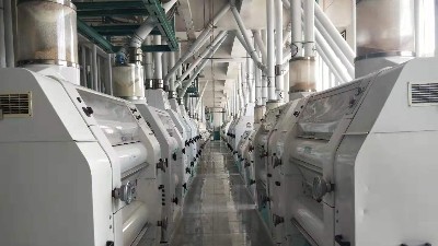 如何整治面粉機械生產(chǎn)車間的粉塵污染