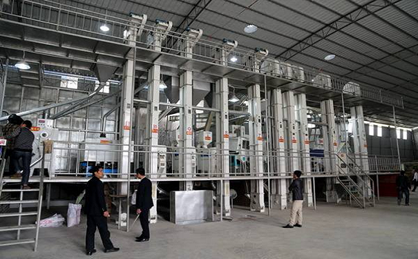 藜麥加工成套設(shè)備實拍圖片