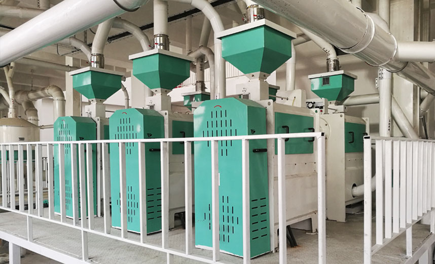 豆類脫皮、拋光、制仁、制粉技術(shù)方案