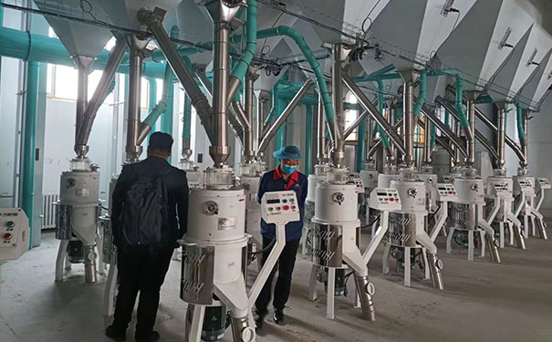 苦蕎茶成套加工設(shè)備實(shí)拍圖片