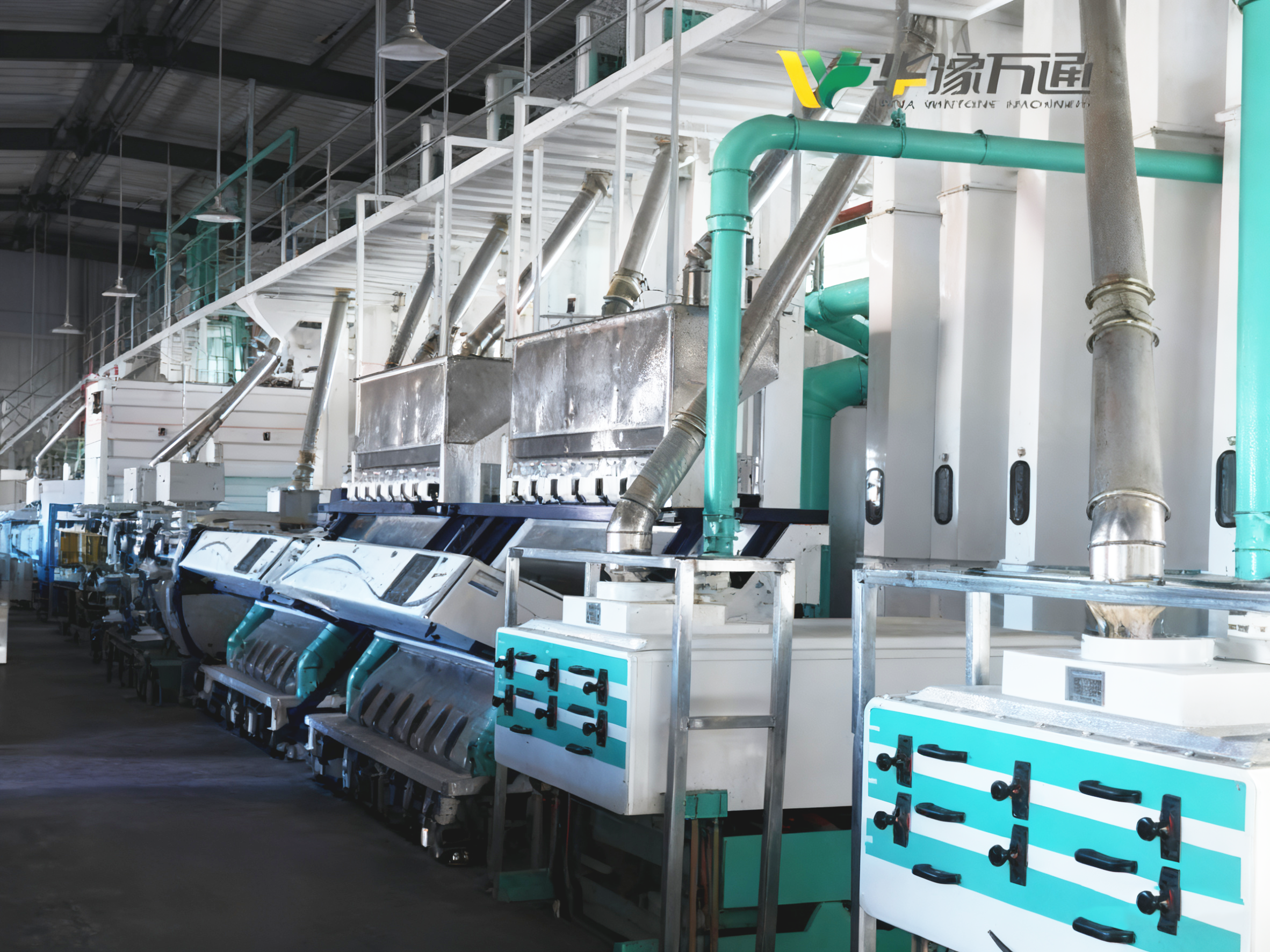 藜麥加工生產(chǎn)線