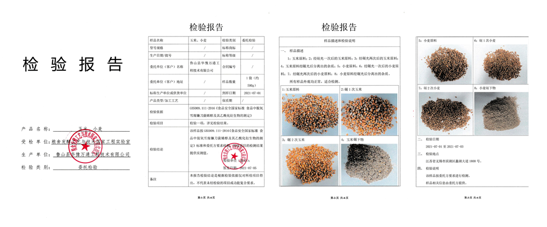 檢驗(yàn)報(bào)告