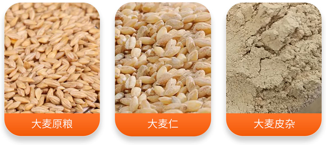 大麥加工成套設(shè)備產(chǎn)成品圖