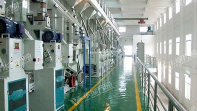 云南地區(qū)藜麥米加工設(shè)備選用哪個設(shè)備生產(chǎn)廠家？