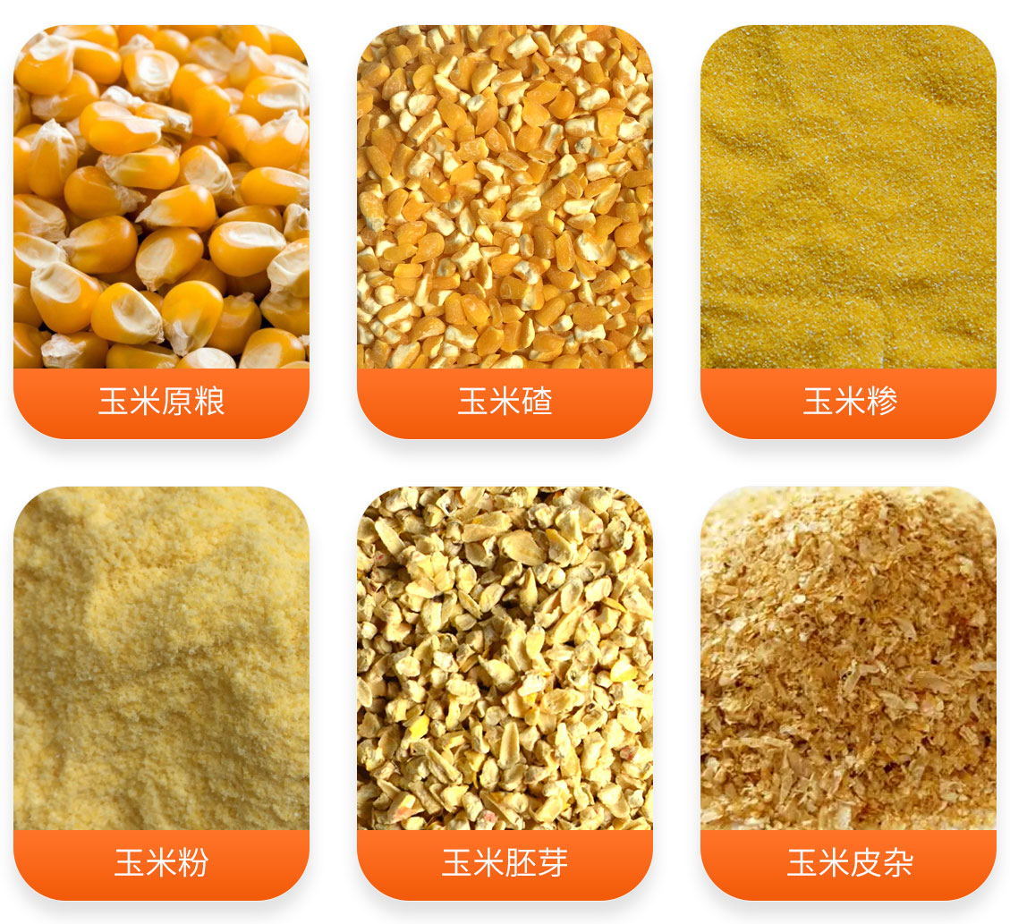 玉米提胚成套設(shè)備產(chǎn)成品圖