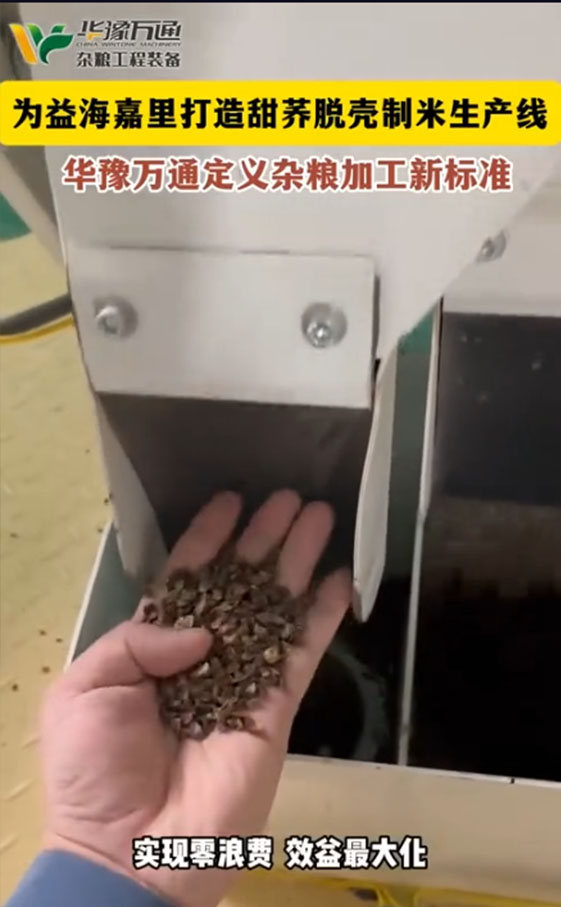 華豫萬(wàn)通為益海嘉里打造甜蕎脫殼制米生產(chǎn)線
