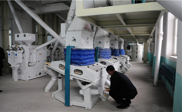 玉米提胚成套設(shè)備實拍圖片