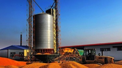 烘干設(shè)備處理玉米的標椎