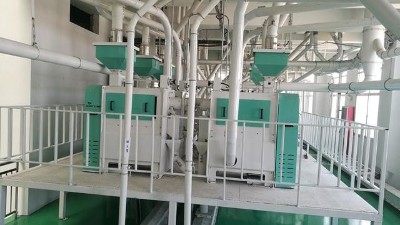 10萬噸豌豆加工設(shè)備助力企業(yè)大發(fā)展