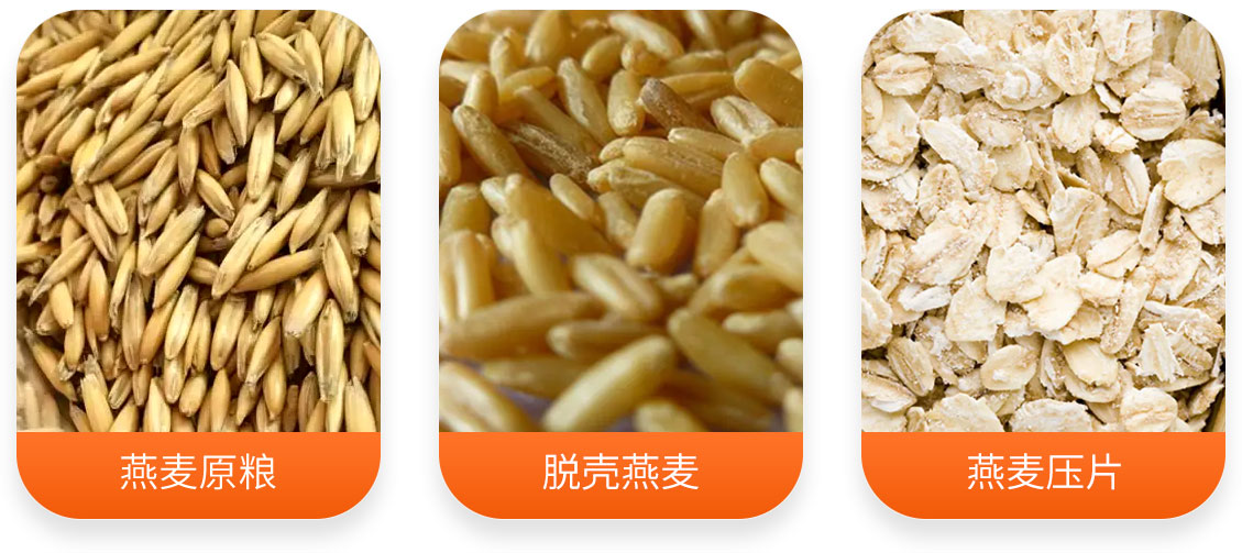 燕麥片加工成套設(shè)備產(chǎn)成品圖