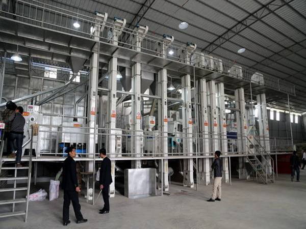 藜麥加工生產(chǎn)線實(shí)拍圖片