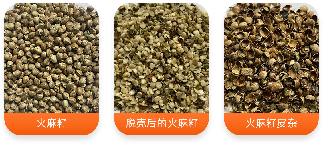 火麻籽脫殼成套設(shè)備產(chǎn)成品圖