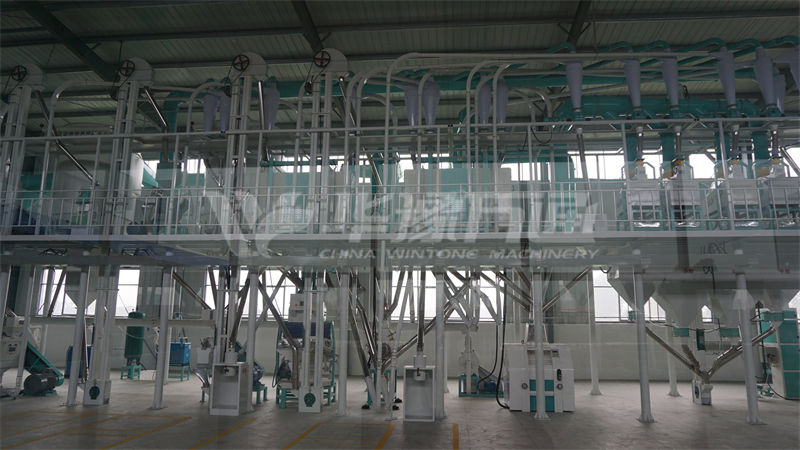 山東濰坊100噸玉米加工廠成套設(shè)備