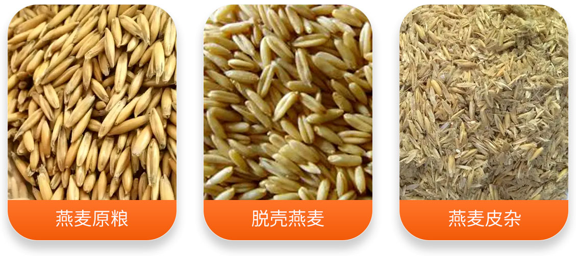 燕麥脫殼成套設(shè)備產(chǎn)成品圖