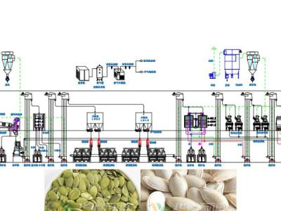 南瓜籽脫殼成套設(shè)備