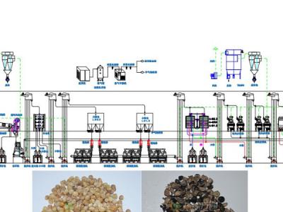 牡丹籽脫殼成套設(shè)備