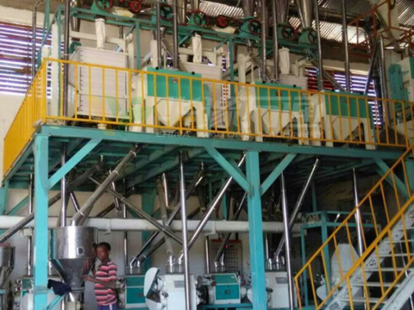 埃塞俄比亞40噸小麥制粉成套項目